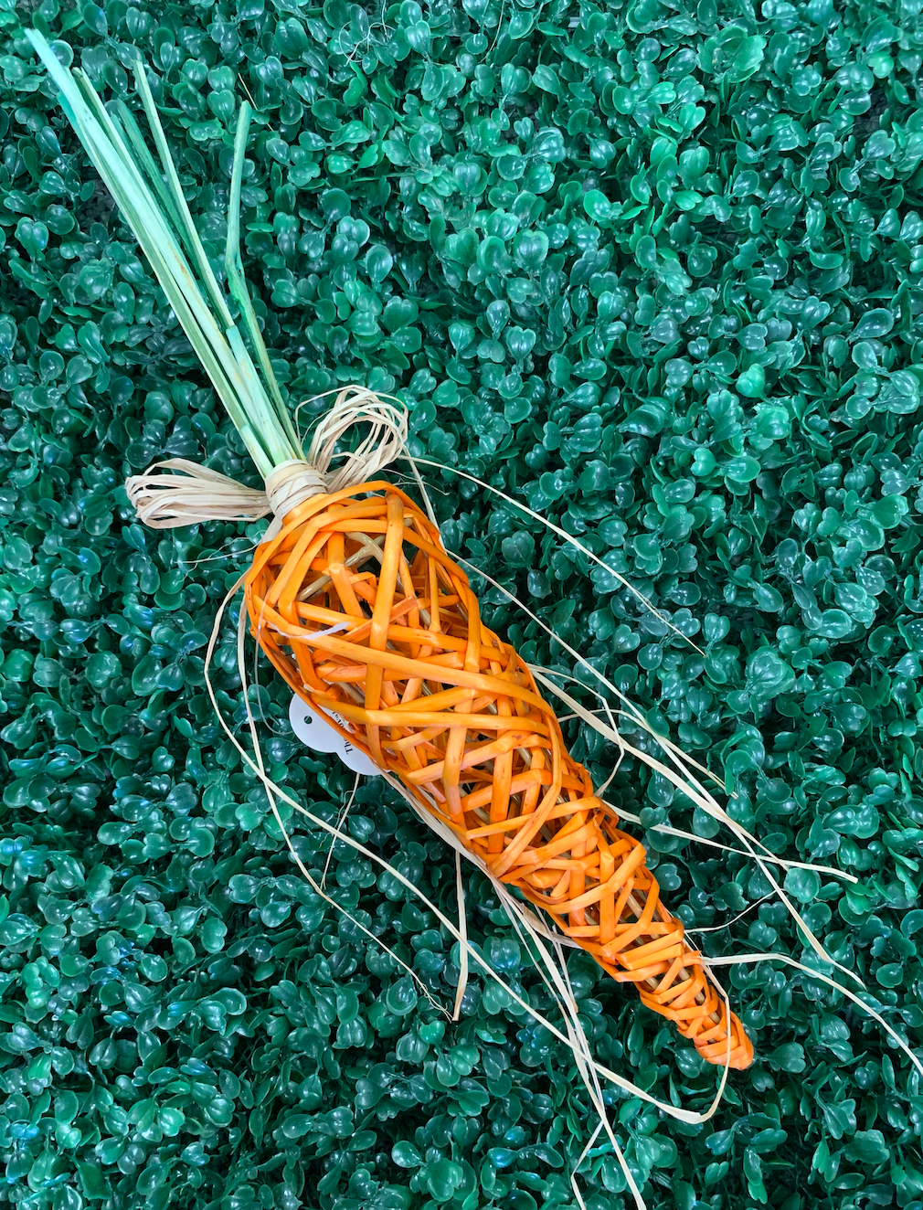 Willow Orange Carrot