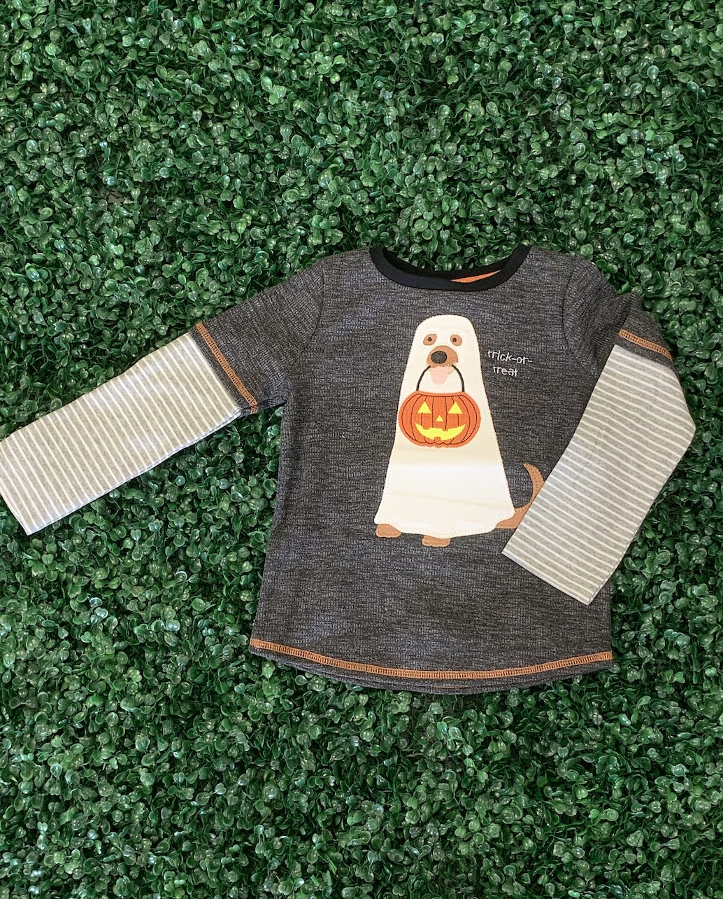 Dog Ghost T
